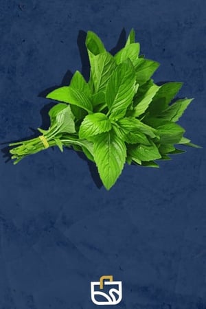 نعناع