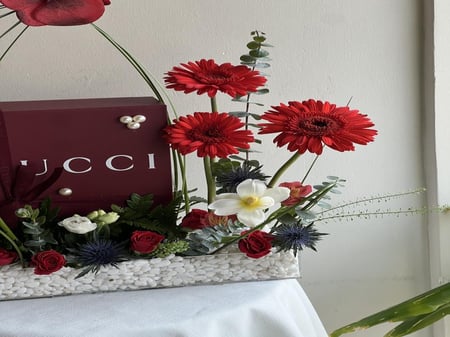 تنسيق سبـــيـــشل special ️