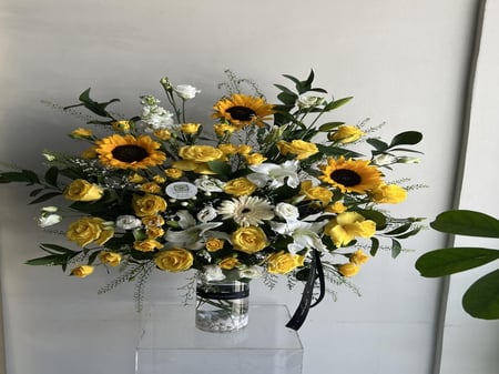 فازه تحمُد بالسلامه