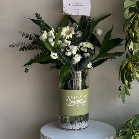 فازه مولود " بامبو "