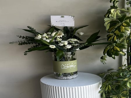 فازه مولود " بامبو "