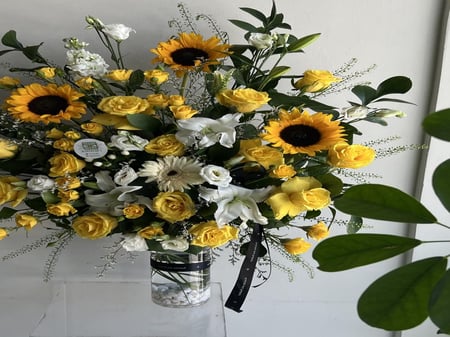 فازه تحمُد بالسلامه