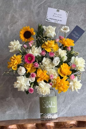 فازة سلطان الانيقه