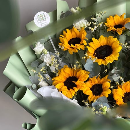 باقه دوار الشمس