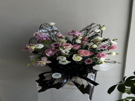 باقه الفراشه الأنيقه