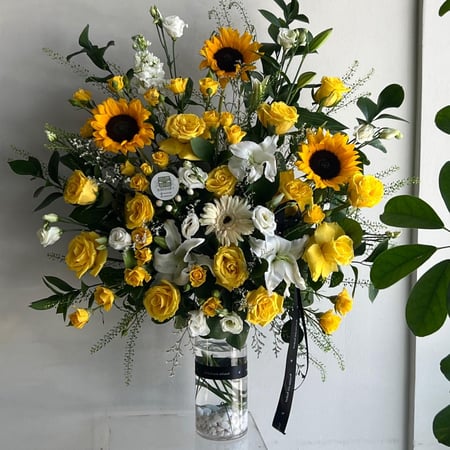 فازه تحمُد بالسلامه