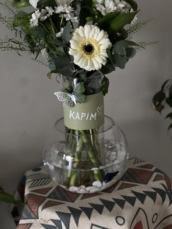 فازه بامبمو مع السمك