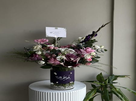 فـــازه الــــــدلـع والانــاقة