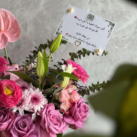 فازه انيـقه