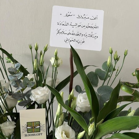 فازه البامبو