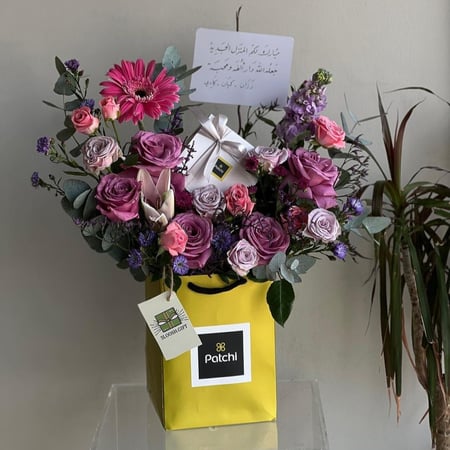 شوكلت باتشي