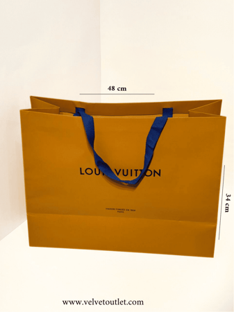 كيس براند لويس فيتون