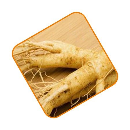 علبة جينسينج بودرة