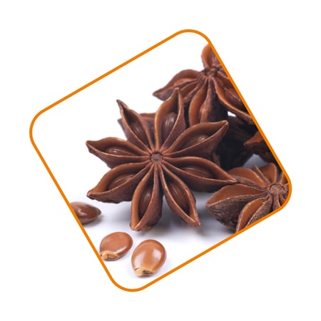 يانسون نجمي