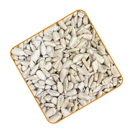 بذور دوار الشمس