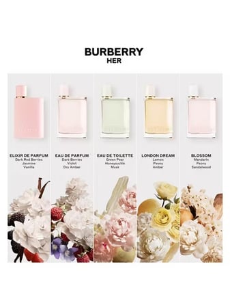 عطر بربري هير بيتالز ايدشن / 88 مل