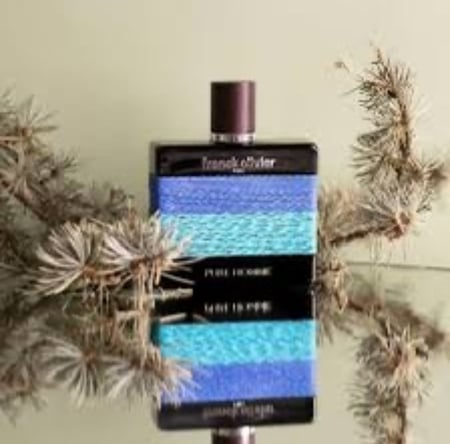 عطر بيور هوم من فرانك اوليفر او دو تواليت للرجال -100 مل