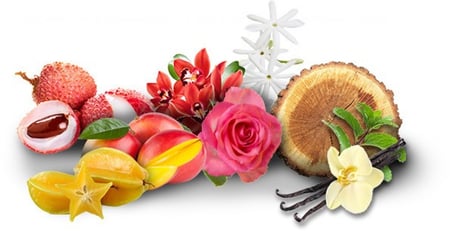 عطر بيونسيه هارت كيسد اودي بارفيوم - 100 مل