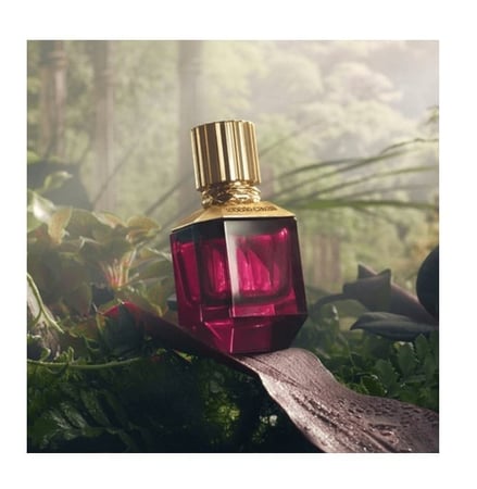 عطر باراديسو فاوند من روبرتو كفالي للنساء - اي دي بارفيوم - 50 مل