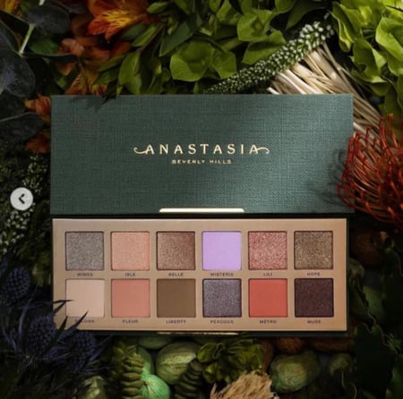 باليت نوفو من انستازيا بيفرلي هيلز