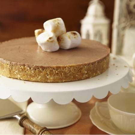 قالب تشيز كيك مرن بقاعدة متحركة - فضي -  Springvorm Silver Top Cheesecake pan