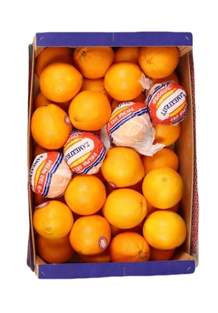 برتقال عصير مصري كرتون 13.5كيلو