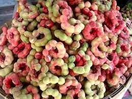 اللوز الأحمر الهندي