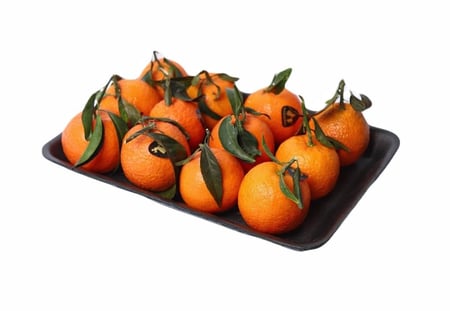 يوسف افندي افريقي صحن  كيلو