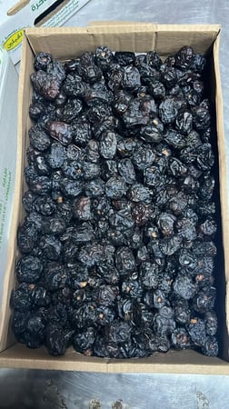 عجوة المدينة - كيلو