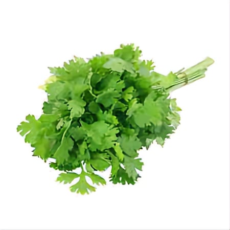 كزبره -حزمة