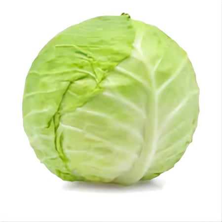 ملفوف أبيض كبير -حبه