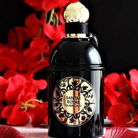 عطر جيرلان سانتال رويال  guerlain santal royal parfum