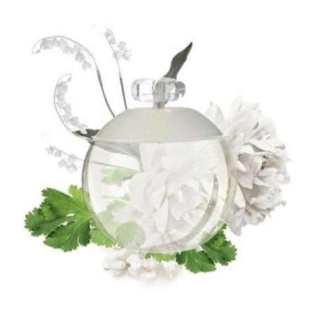 عطر كاشريل نوا noa cacharel perfume