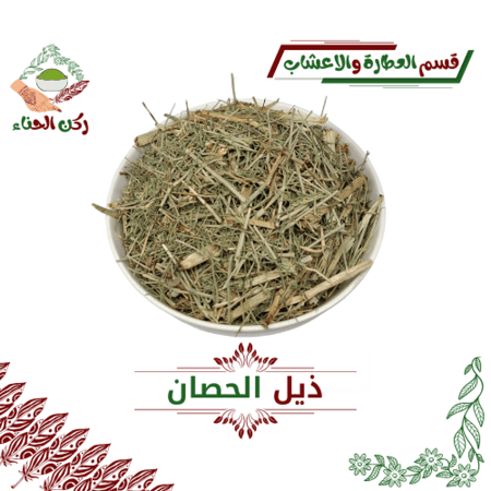 ذيل الحصان