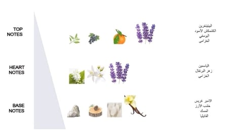 عطر سيلين روز