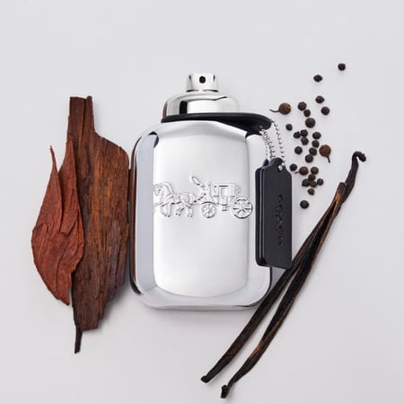 عطر كوتش نيويورك بلاتينيوم - او دو بارفيوم - 100مل