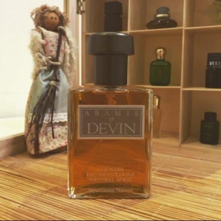 عطر اراميس ديفين شكل قديم - 110مل