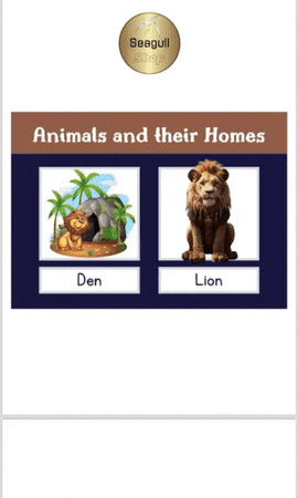 Exclusive | Educational Flash Card for Children – Printable - English Version.