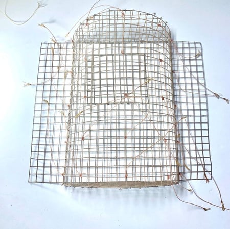 قرشعة صيد عادي