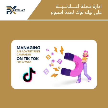 ادارة حملة اعلانية على تيك توك لمدة اسبوع - بيكسلات للتسويق الرقمي