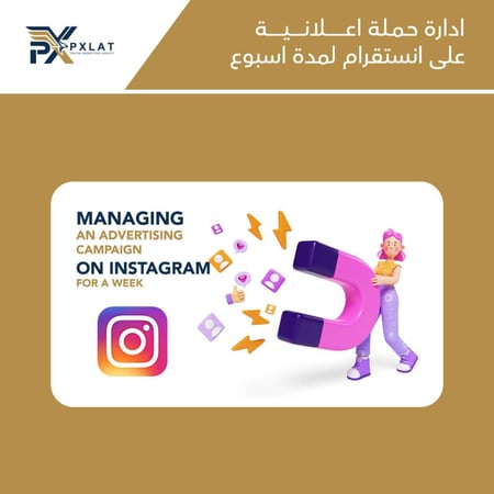 ادارة حملة اعلانية على انستقرام لمدة اسبوع - بيكسلات للتسويق الرقمي