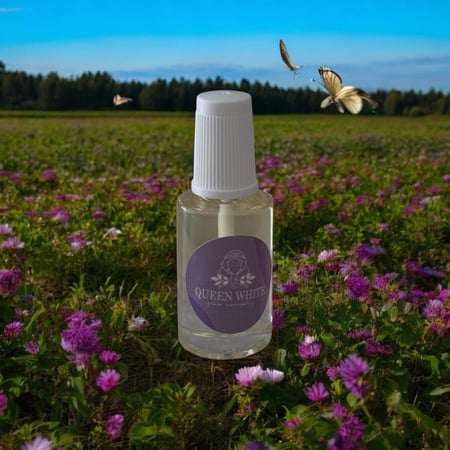 سيروم تطويل وتقوية الاظافر