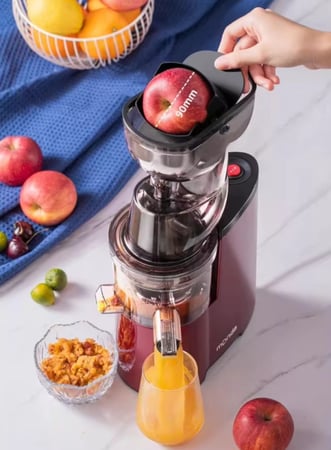 عصارة بقدرة 10الف واط وسعة 500 ملل لتحضير عصائر طازجة من DENX