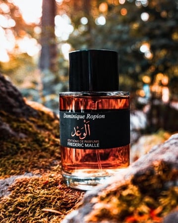 عطر بروميس الوعد من فريدريك مال  اودو بارفيوم 100 مل
