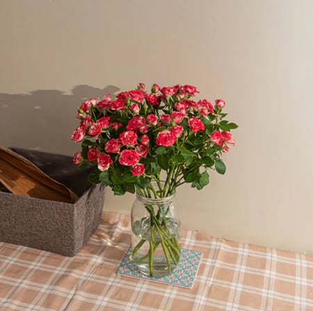 فازة بيبي روز