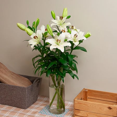 لليوم مع فازه