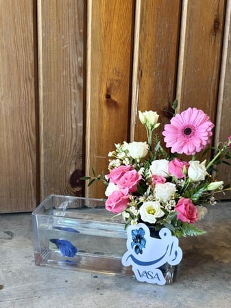 فازة دانه (سمك الفايتر) (امكانية تغيير الاسم)