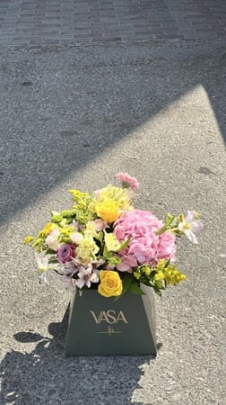 بوكس كاميليا