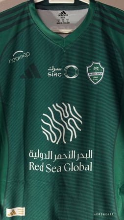 تيشيرت الأهلي الأساسي رجالي