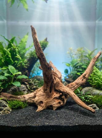 خشب المانجروف / Mangrove wood  1kg